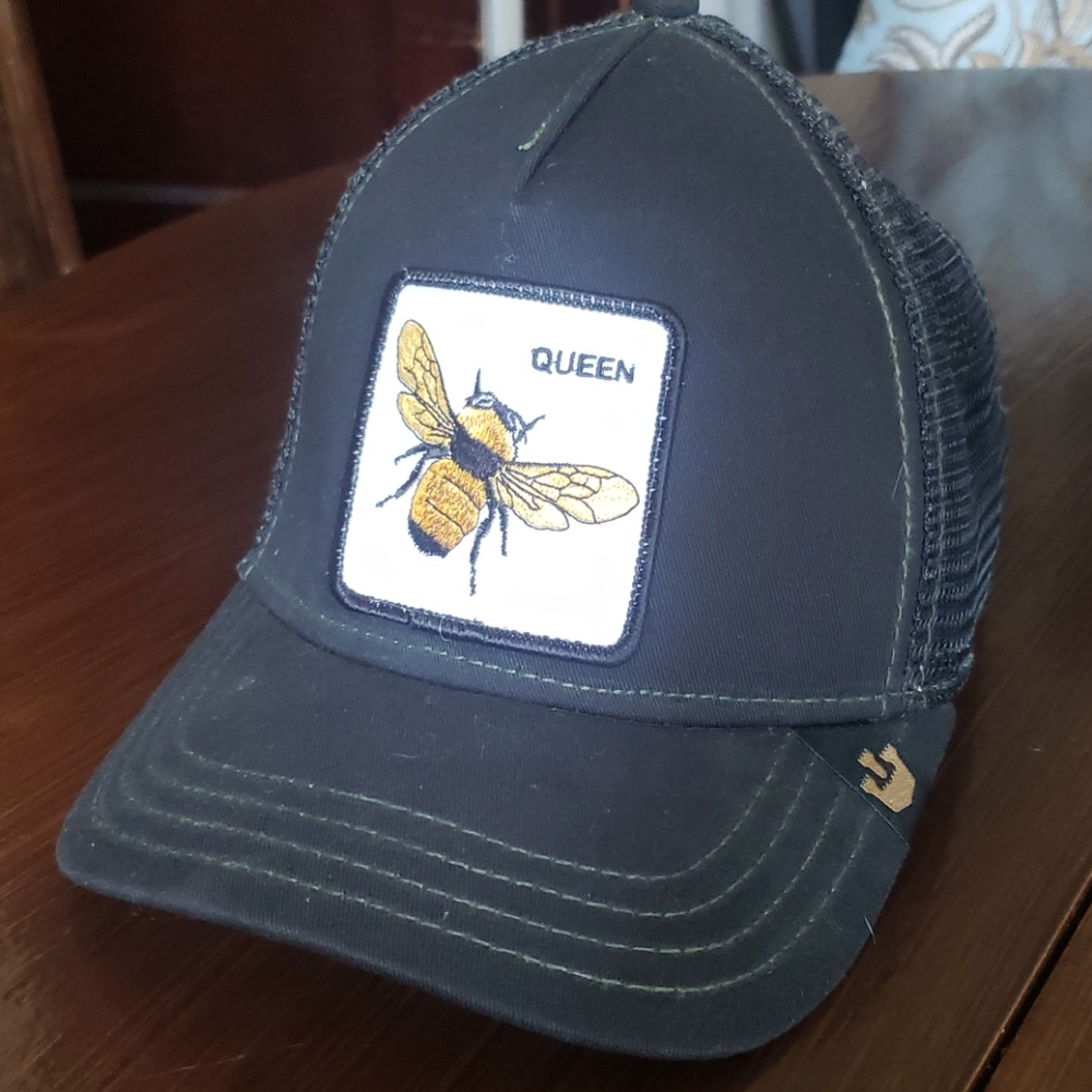 Snapback hat NWOT